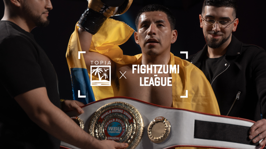 Fightzumi League