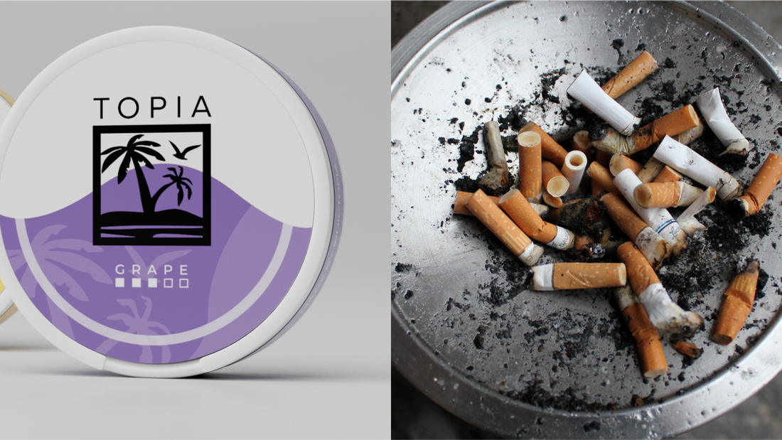 Nicotine Pouches v Tobacco