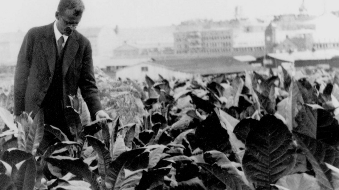The History and Evolution of Nicotine Pouches
